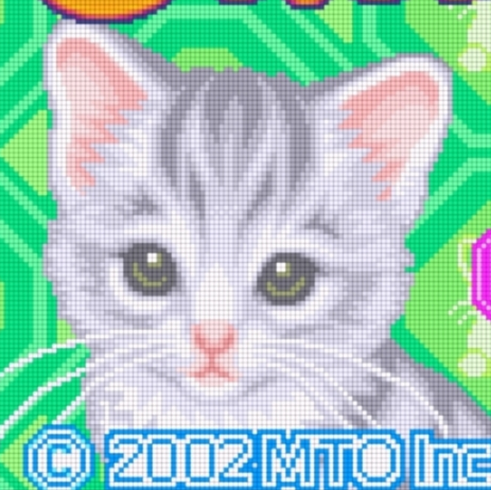 Meet your Posher, Kalea